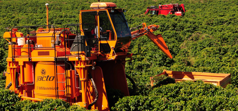 Кофейная плантация в регионе Можиана, Бразилия